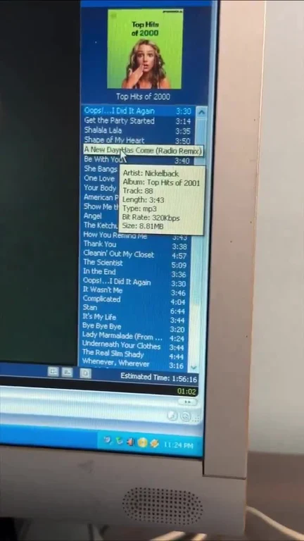 computer screen displaying a music player with a playlist