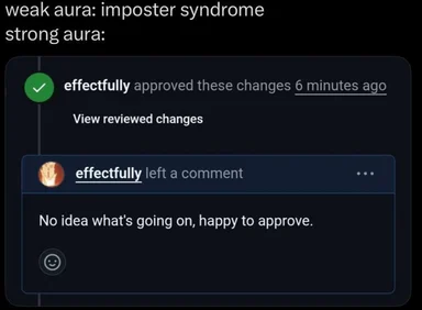 Meme about imposter syndrome in coding, showing a developer approving changes without understanding them
