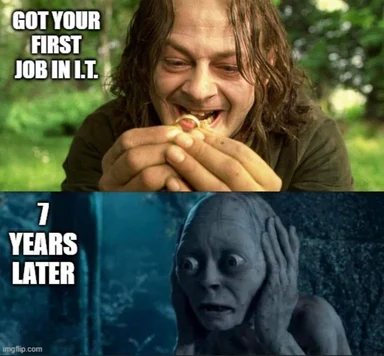 IT job meme