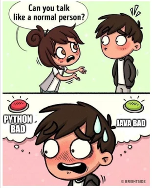 cartoon developer confused about programming languages