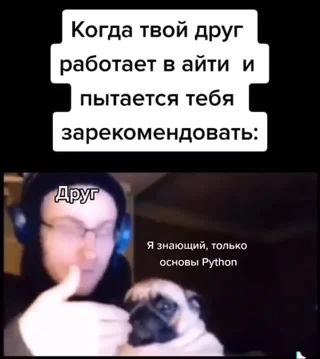 a man in headphones with a pug dog, and text overlay about a friend recommending someone for a job in IT