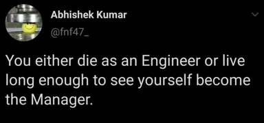 humorous text about career progression