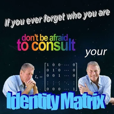 Humorous meme with two men and an identity matrix