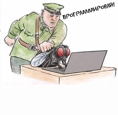 Офицер в военной форме кричит на муху на клавиатуре ноутбука: «Программируй!» — карикатура