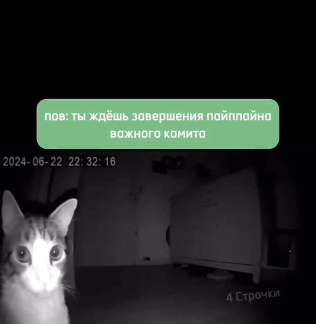 a cat looking at the camera with a text overlay in russian