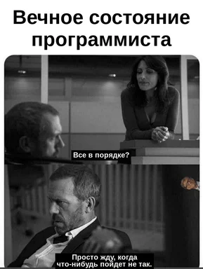programmer eternal state meme