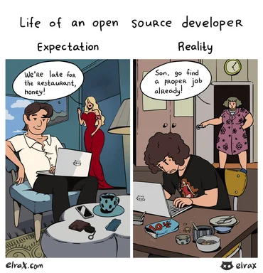 open source developer life expectation vs reality