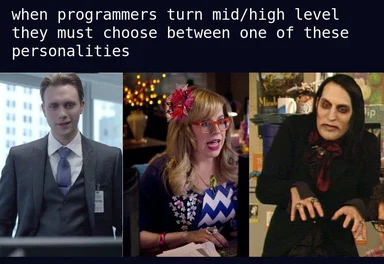 mid-level programmer personality choices