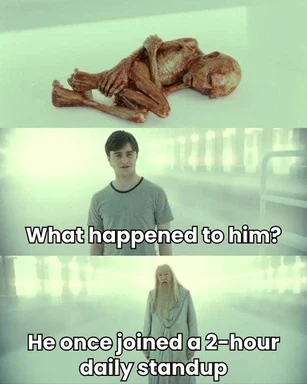 Harry Potter meme: Dumbledore explains to Harry what happened to a guy who joined a 2-hour daily standup meeting