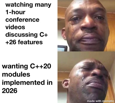 programmer frustrated with C++ conference videos