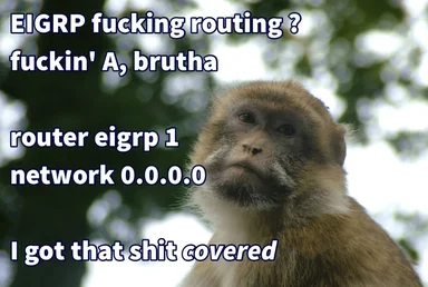 monkey looking skeptical with text about EIGRP routing