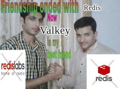 Friendship ended with Redis, now Valkey is my best friend