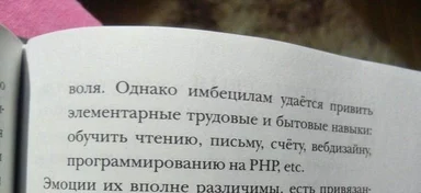 A book page with a text about teaching programming to people with intellectual disabilities
