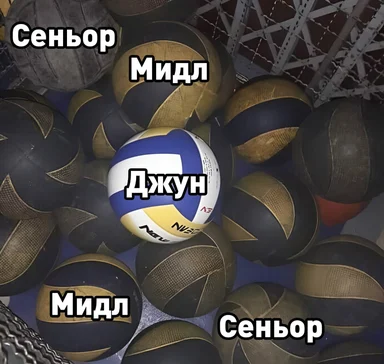a volleyball labeled 'jun' surrounded by black and gold volleyballs labeled 'midl' and 'senior'