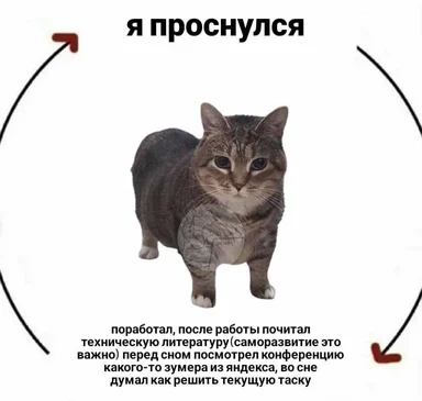 cat with a thoughtful expression in a circle with russian text