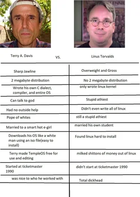 Terry A. Davis vs Linus Torvalds comparison meme