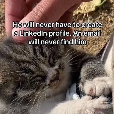 a meme of a cat with the caption 'He will never have to create a LinkedIn profile. An email will never find him'
