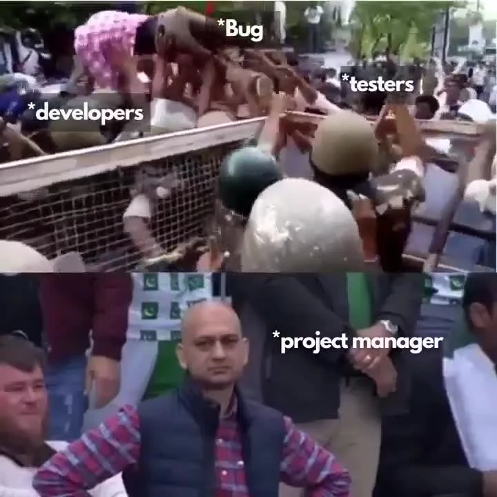 developers and testers trying to get through a fence labeled bug while a project manager watches
