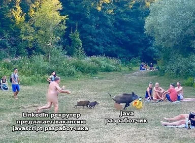 naked man running from pigs with LinkedIn recruiter and Java developer text