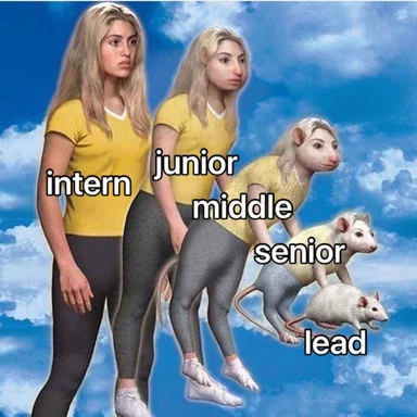 meme of woman with rat transformations labeled intern to lead