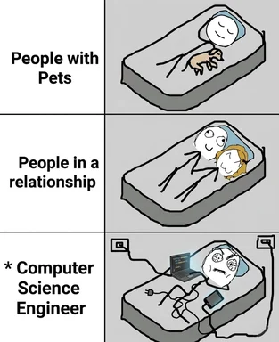 meme comparing people with pets, in a relationship, and computer science engineers sleeping