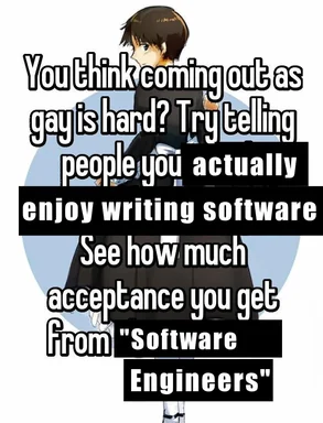 anime character with text overlay about software engineers