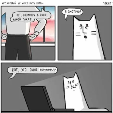 Comic strip of a man and a cat looking out the window and at a terminal window