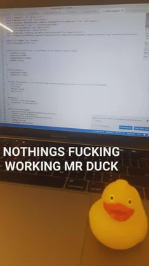 Rubber duck on laptop keyboard with frustrated coding screen