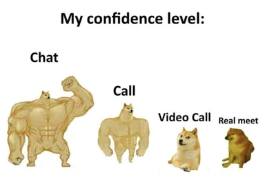 dog meme about confidence levels in different communication formats