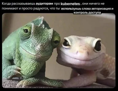 Two lizards, one green and one white, looking at each other with a caption about kubernetes