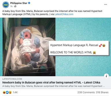 Newborn baby in a hospital bassinet next to a sign reading Welcome to the world HTML