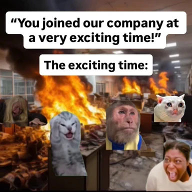 Office burning with fire and smoke while reaction faces (crying woman, laughing cat, shocked monkey, surprised cat,