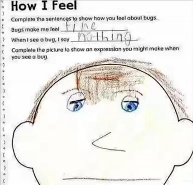 a child's drawing of a face with a frown, representing a reaction to bugs in code