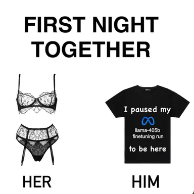 Humorous meme depicting a man and woman's first night together, with the man wearing a t-shirt referencing a paused AI finetuning run