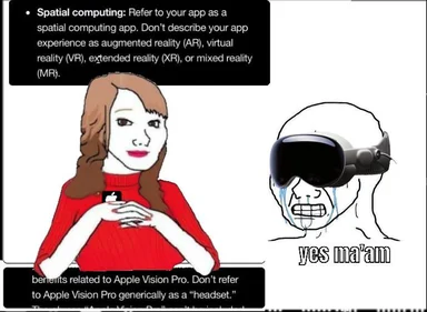 Apple Vision Pro branding guidelines meme