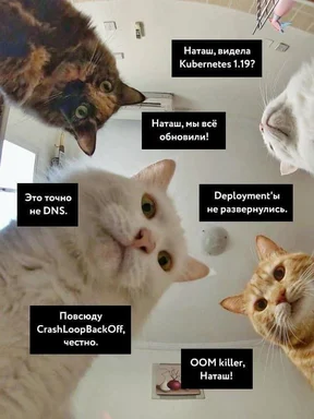 Three cats looking up at something with text about Kubernetes deployment issues