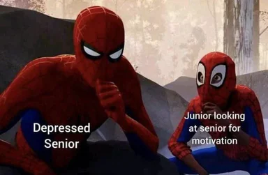 Spiderman meme with senior and junior versions looking at each other