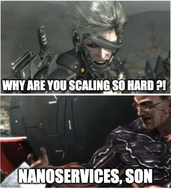 DevOps character asks why scaling is hard, and another character replies nanoservices son