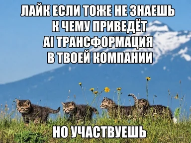 kitten meme about ai transformation