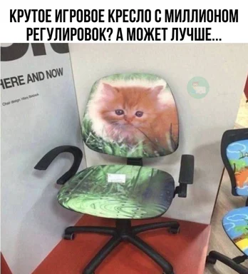 Funny office chair with a kitten picture and humorous text in Russian