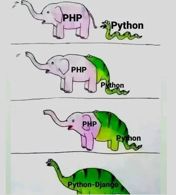 PHP vs Python programming language meme