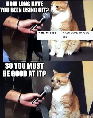 cat meme about git experience