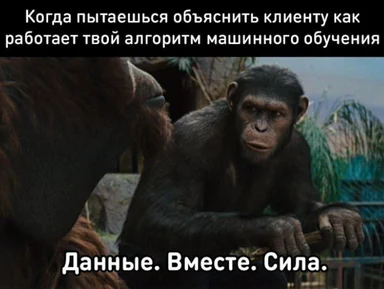Monkey explaining machine learning to client