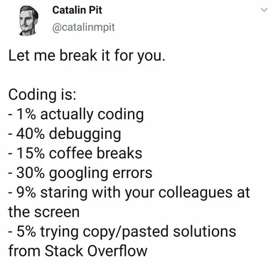 Catalin Pit meme about coding breakdown