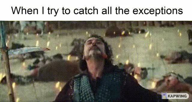 trying to catch all exceptions meme