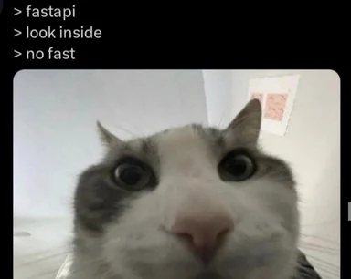 cat with wide eyes and shocked expression