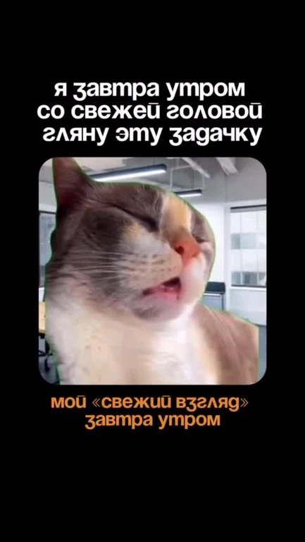 cat with a smug expression and text about a fresh perspective