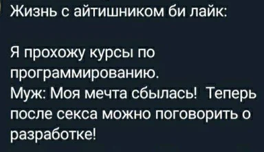russian developer relationship humor