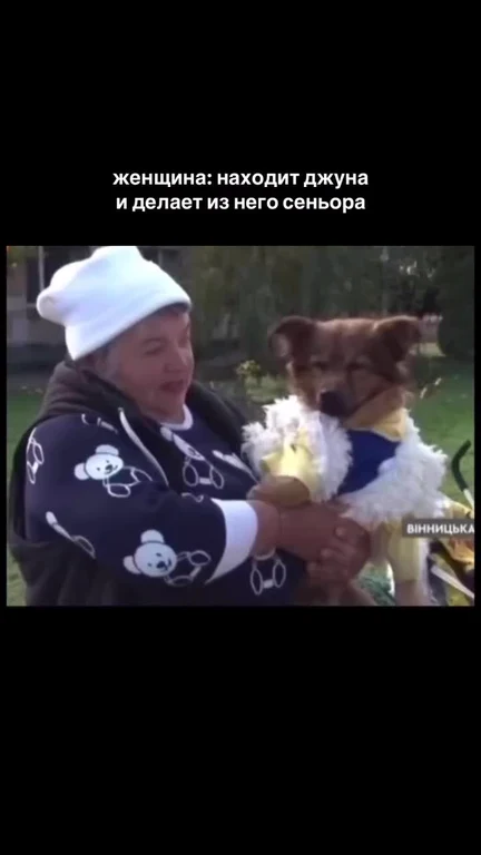 woman holding dog dressed as senior dev from junior