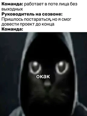 russian meme about developer team lead and project delivery
